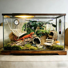 TEICCI reptile bridge in terrarium for climbing and enrichment.