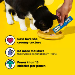 Temptations cat treats served in a bowl as an irresistible snack.