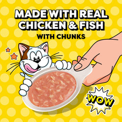 Temptations Lickable Spoons salmon-chicken chunks flavor presentation