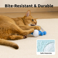 Tenecute blue USB-rechargeable cat toy ready for charging
