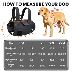 Terapaton dog carrier backpack offers versatile transport for long walks and trips