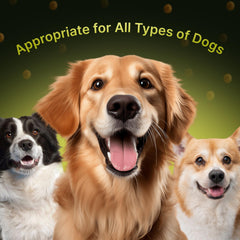 TERRAPAWS soft chews beef flavor shown as tasty daily coat and skin support