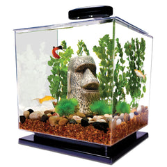 Tetra 3-gallon cube aquarium on a counter for compact fish setups