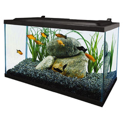 Tetra 10-gallon glass tank seen from the side for clear observation.