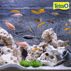 Tetra Cichlid Crisps with uniform size for consistent feeding