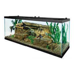 LED hoods on the Tetra Complete LED Aquarium 55 gallon offer daylight shimmer