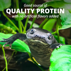 Soft-textured ReptoMin sticks pictured for easy-to-chew feeding.