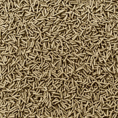 Tetra ReptoMin sticks shown in turtle bowl supporting vitality and growth.