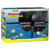 Tetra Whisper EX 70 filter outflow provides silent, oxygen-rich water movement.
