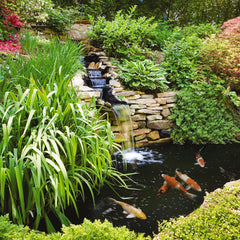 TetraPond AlgaeControl used in a pond with plants and fish, safe