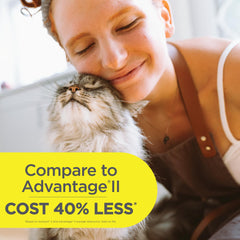 TevraPet Actispot II six-dose pack ready for monthly cat protection.