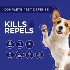 TevraPet Activate II flea-control-closeup showing fast action against fleas