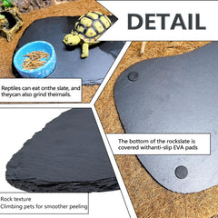 Tfwadmx moisture evaporation function plate adds gentle humidity for dry enclosures.