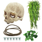 Tfwadmx reptiles skull hide decor provides authentic shelter in terrariums.