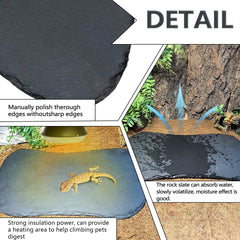 Tfwadmx rock plate feeding dish for on platform meals.
