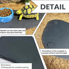 Tfwadmx natural rock texture aids realistic basking visualization