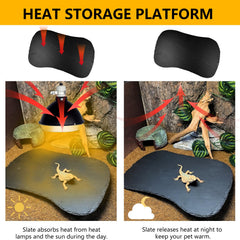 Tfwadmx turtle rock plate closeup shows natural texture ideal for basking and feeding.