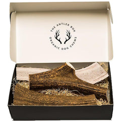 The Antler Box elk antler chews in split form for easier access during chewing.