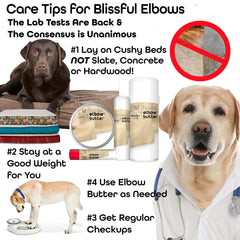 Dab-and-massage application shown for easy elbow care with The Blissful Dog.