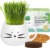 The Cat Ladies cat grass kit with white planter promotes indoor greenery for cats.