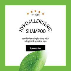 The Coat Handler hypoallergenic shampoo lather demonstrates gentle cleansing for the coat.
