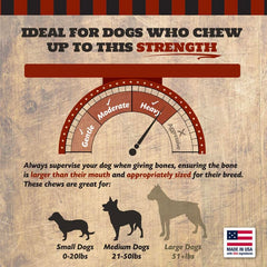 The Country Butcher dog chewing bone action demonstrates safe chewing.