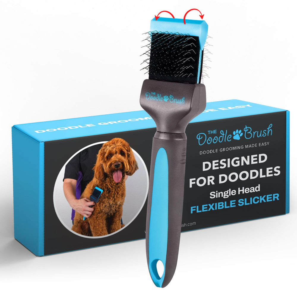 The Doodle Brush with long pins for deep grooming on Labradoodle coats