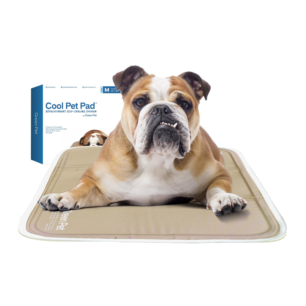 The Green Pet Shop Cool Pet Pad shows a self cooling latte mat after a walk for instant comfort