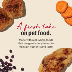 The Honest Kitchen top-up with dry kibble demonstrates delicious grain-free topper options.