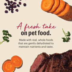 Prepared Wholemade Beef dog meal ready to serve.