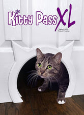 The Kitty Pass XL cat door on a door, semi-gloss white, for safe pet access.