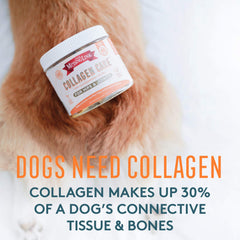 Close-up of The Missing Link Collagen Care soft chews for dog joint comfort.