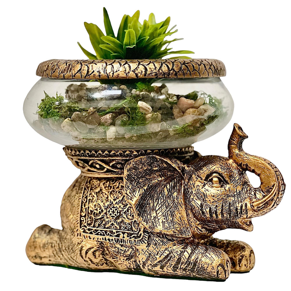 The Nifty Nook Good Luck Elephant figurine with raised trunk for positive energy and home decor.