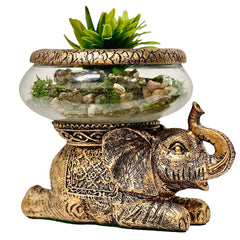 The Nifty Nook Good Luck Elephant figurine with raised trunk for positive energy and home decor.
