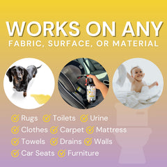 The Stink Solution applied on carpet for quick odor control.
