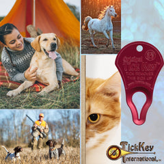 Portable tick detacher for pets during outdoor adventures with The Tick Key
