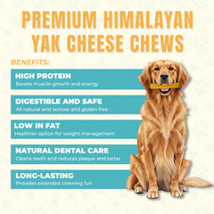 ThePawClub yak cheese chew close-up showing firm texture for small dogs.