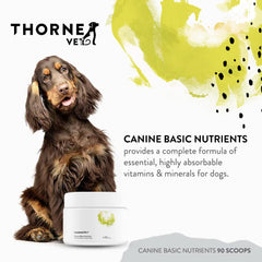 ThorneVet Canine Basic Nutrients Powder scoop and bottle, enabling easy, reliable daily dosing.
