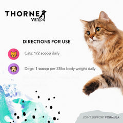 Dog companion image implying senior dog's mobility with ThorneVet
