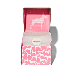 Thoughtfully Pets hollow biscuit cake easy to break into bites