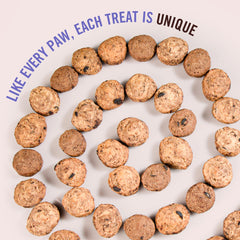Three Dog Bakery Carob Vanilla Swirl, appealing flavor after outdoor adventures