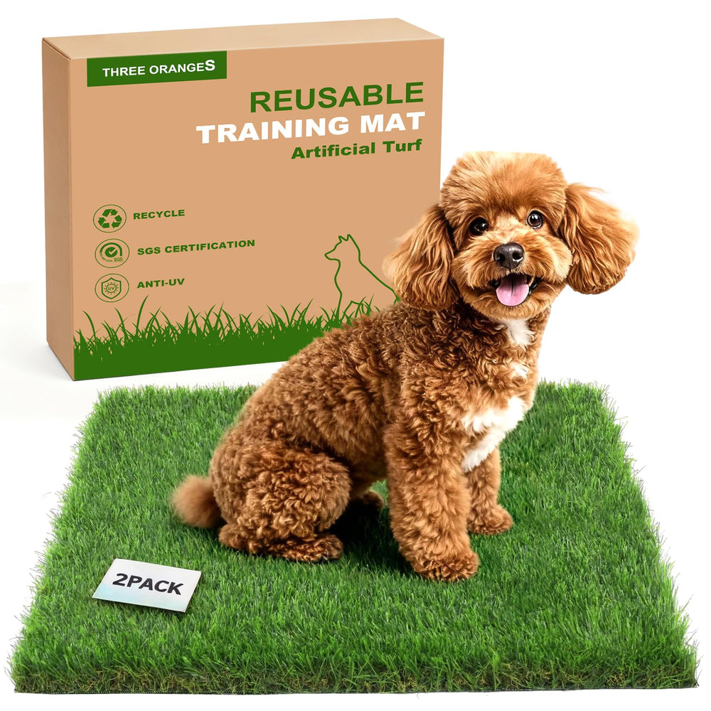 Three Oranges washable dog grass pads, 23x23 inches, 2-pack for easy indoor potty training.