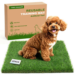 Three Oranges washable dog grass pads, 23x23 inches, 2-pack for easy indoor potty training.