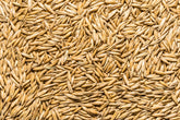Thunder Acres oat seed bag front view, non-GMO and certified organic.
