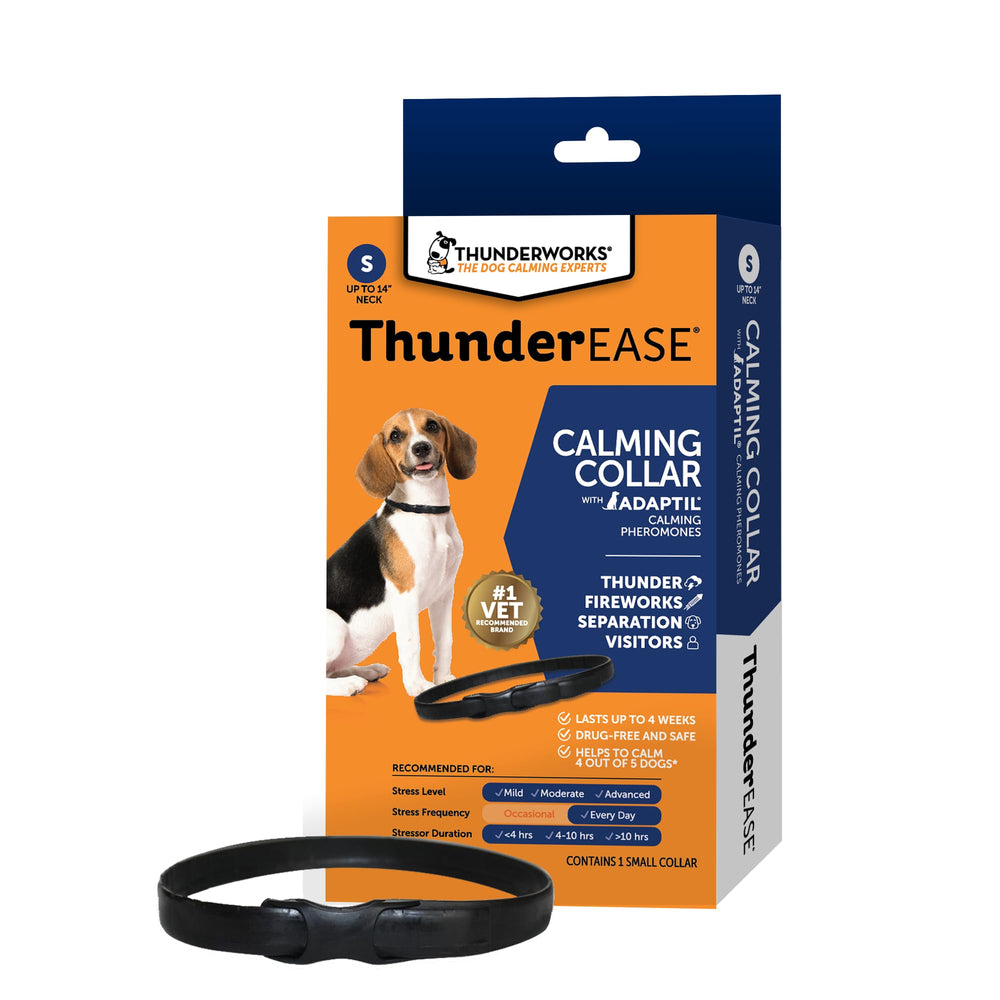 ThunderEase collar small worn on dog for daily calm and confidence