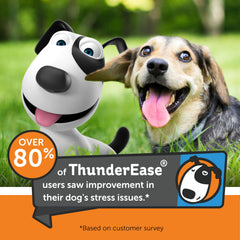 ThunderEase spray inside car to ease travel anxiety for dogs.