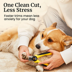 Thunderpaws safety lock keeps clippers secured between uses