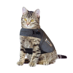 ThunderShirt Classic Cat Anxiety Jacket worn to help calm a cat during vet visits.