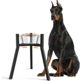 TIDANT elevated dog bowl stand for large dogs, assembled for comfortable feeding height.