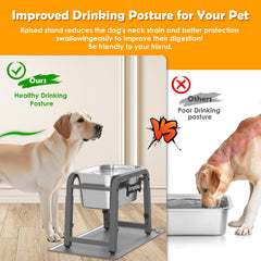 Tidant height-adjustable dog bowl stand enables comfortable drinking
